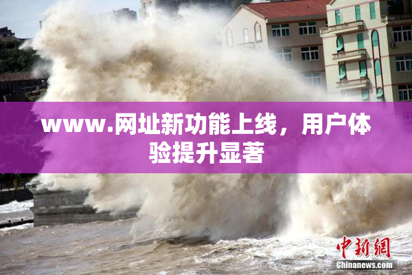 www.网址新功能上线，用户体验提升显著