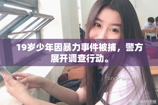 19岁少年因暴力事件被捕，警方展开调查行动。