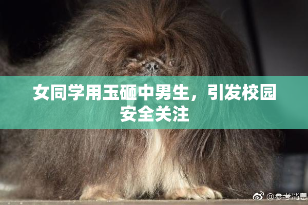 女同学用玉砸中男生，引发校园安全关注