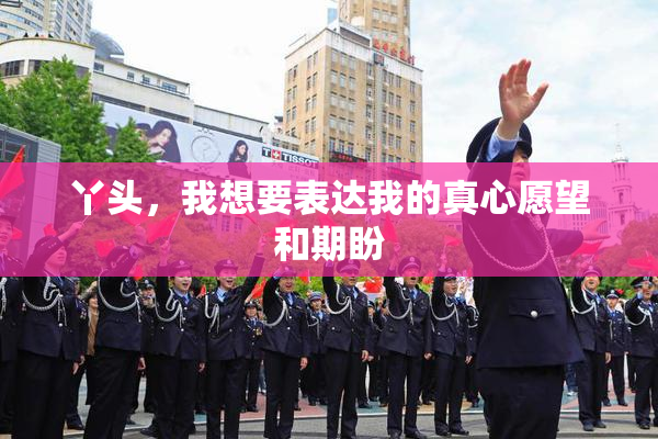 丫头，我想要表达我的真心愿望和期盼