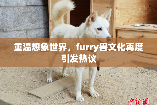 重温想象世界，furry兽文化再度引发热议