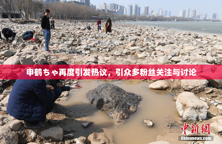 申鹤ちゃ再度引发热议，引众多粉丝关注与讨论