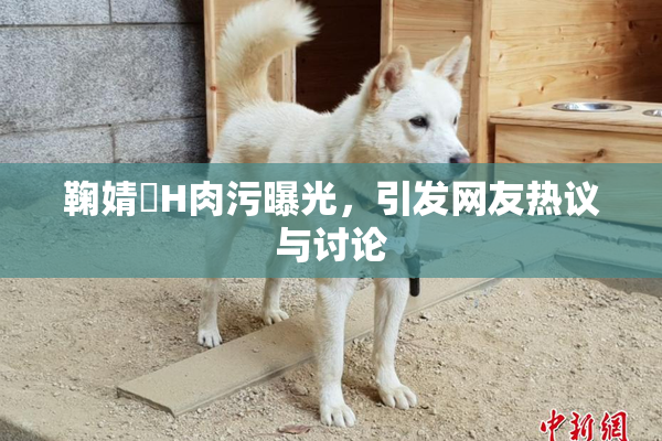 鞠婧祎H肉污曝光，引发网友热议与讨论