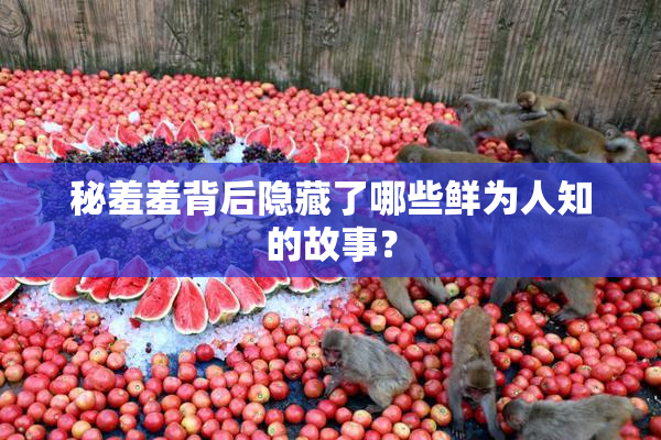 秘羞羞背后隐藏了哪些鲜为人知的故事？