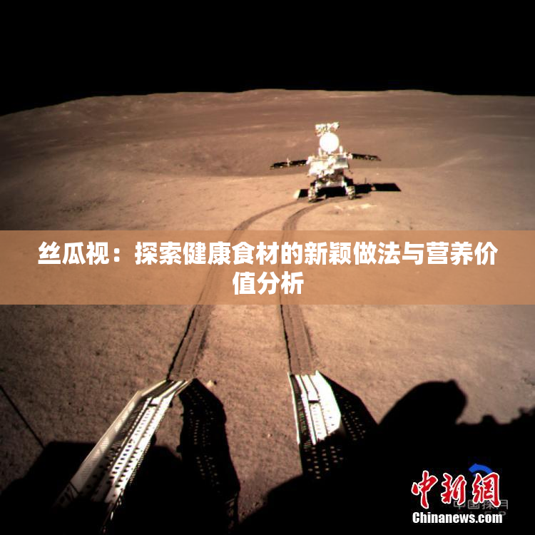 丝瓜视：探索健康食材的新颖做法与营养价值分析