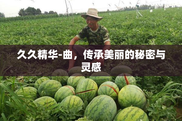 久久精华-曲，传承美丽的秘密与灵感
