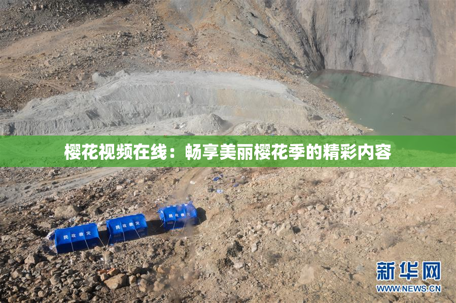 樱花视频在线：畅享美丽樱花季的精彩内容