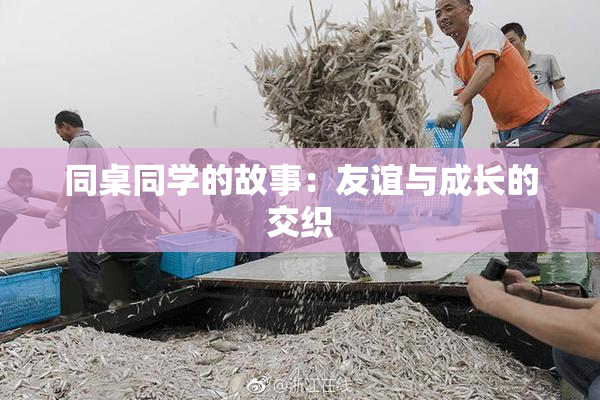 同桌同学的故事：友谊与成长的交织