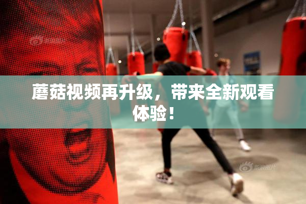 蘑菇视频再升级，带来全新观看体验！