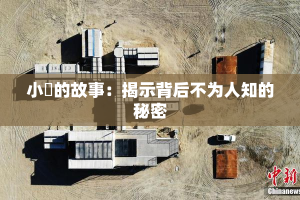 小泬的故事：揭示背后不为人知的秘密
