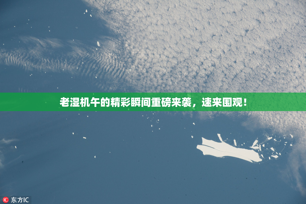 老湿机午的精彩瞬间重磅来袭，速来围观！