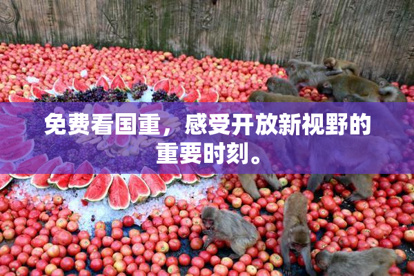 免费看国重，感受开放新视野的重要时刻。