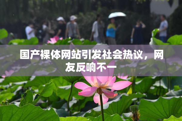 国产裸体网站引发社会热议，网友反响不一