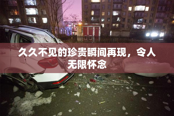 久久不见的珍贵瞬间再现，令人无限怀念