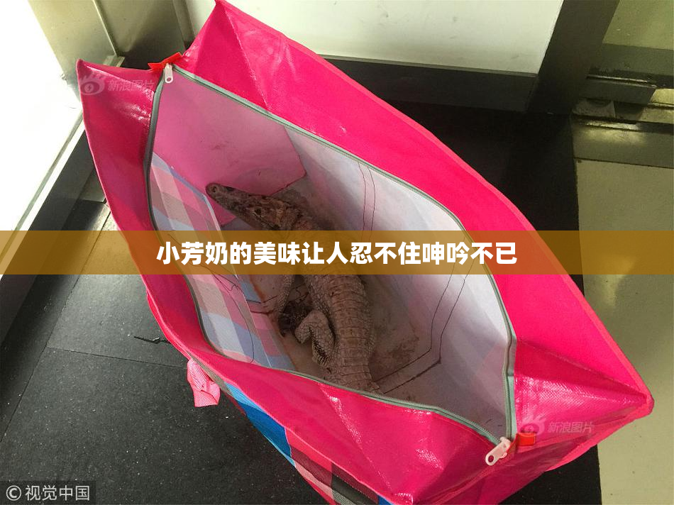 小芳奶的美味让人忍不住呻吟不已