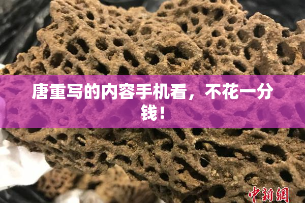 唐重写的内容手机看，不花一分钱！