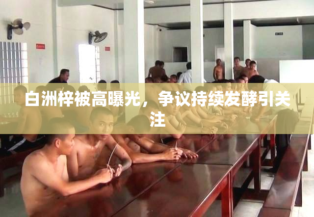 白洲梓被高曝光，争议持续发酵引关注