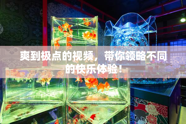 爽到极点的视频，带你领略不同的快乐体验！