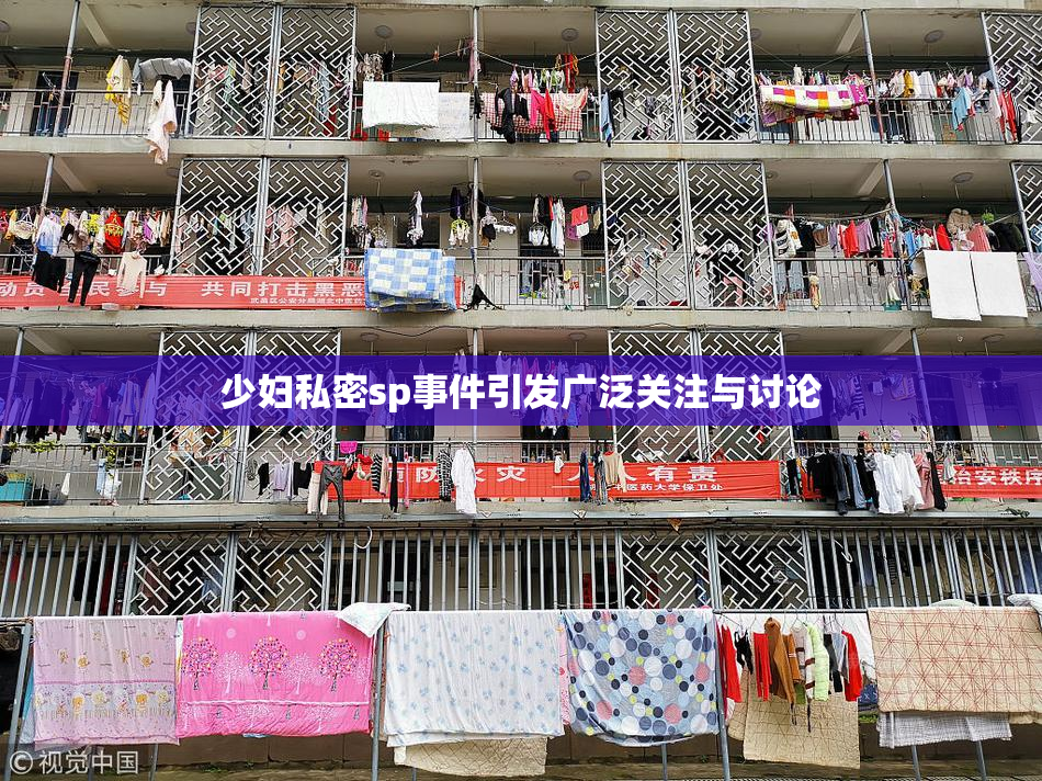 少妇私密sp事件引发广泛关注与讨论