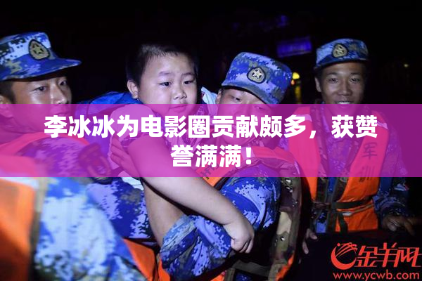 李冰冰为电影圈贡献颇多，获赞誉满满！