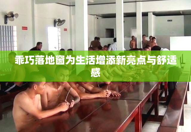 乖巧落地窗为生活增添新亮点与舒适感