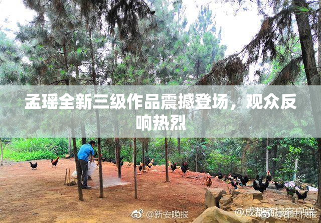 孟瑶全新三级作品震撼登场，观众反响热烈