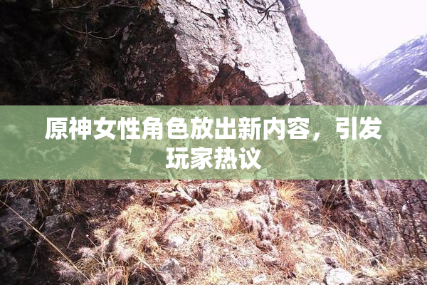原神女性角色放出新内容，引发玩家热议