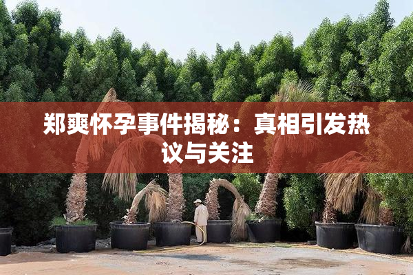 郑爽怀孕事件揭秘：真相引发热议与关注
