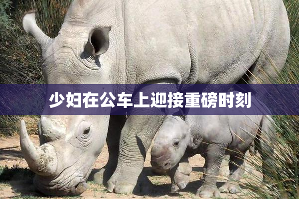 少妇在公车上迎接重磅时刻