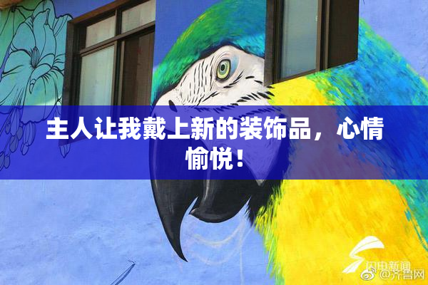 主人让我戴上新的装饰品，心情愉悦！