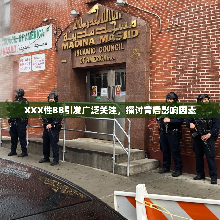 XXX性BB引发广泛关注，探讨背后影响因素