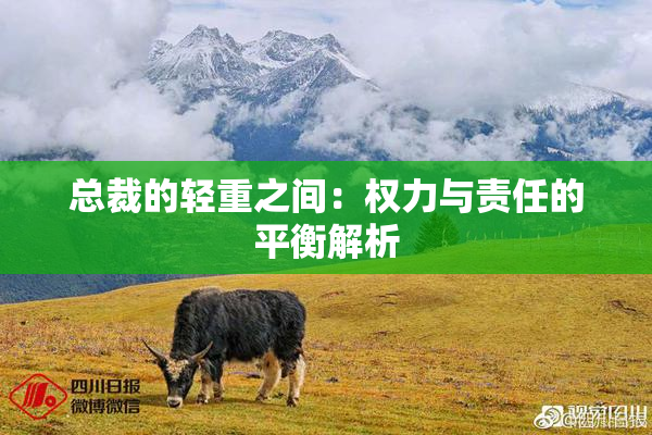 总裁的轻重之间：权力与责任的平衡解析