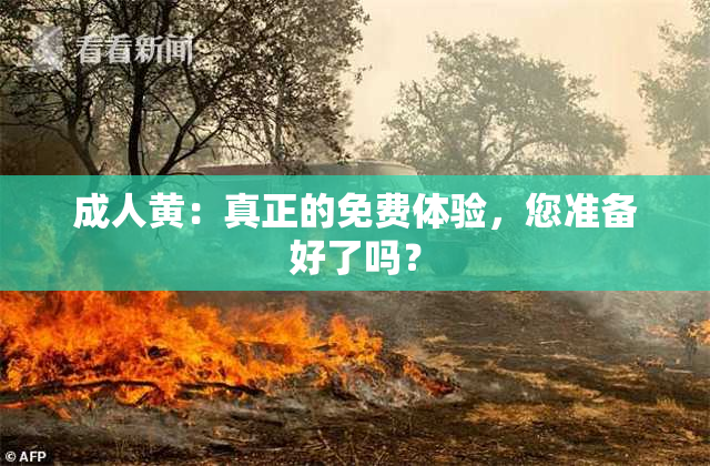 成人黄：真正的免费体验，您准备好了吗？