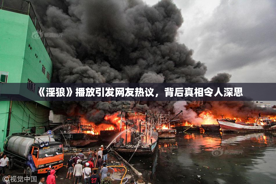 《淫狼》播放引发网友热议，背后真相令人深思