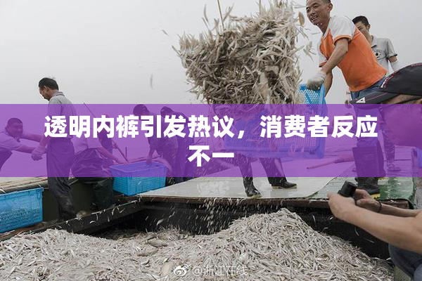 透明内裤引发热议，消费者反应不一