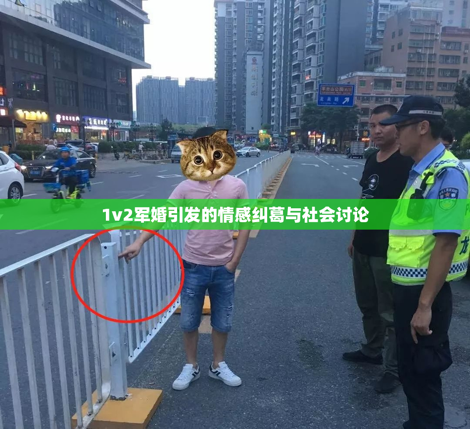 1v2军婚引发的情感纠葛与社会讨论