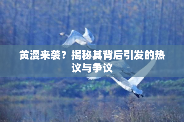 黄漫来袭？揭秘其背后引发的热议与争议