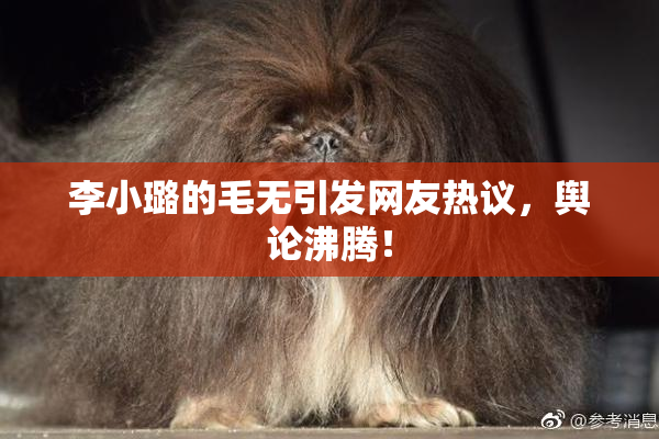 李小璐的毛无引发网友热议，舆论沸腾！