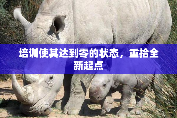 培训使其达到零的状态，重拾全新起点