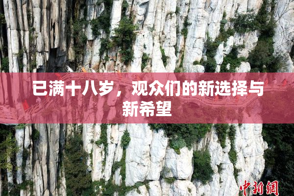 已满十八岁，观众们的新选择与新希望