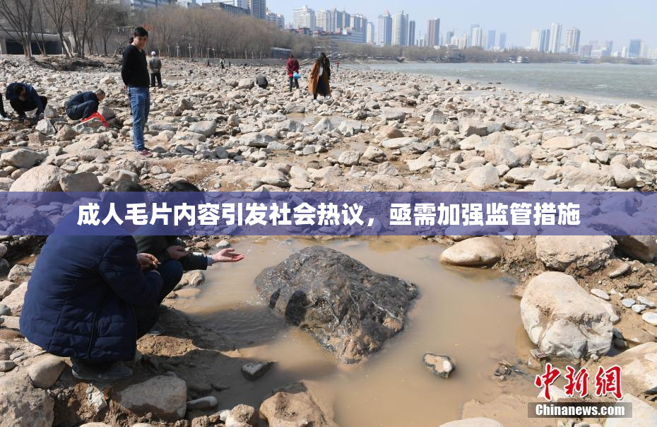成人毛片内容引发社会热议，亟需加强监管措施