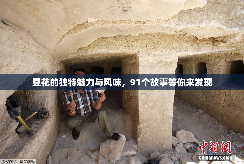 豆花的独特魅力与风味，91个故事等你来发现