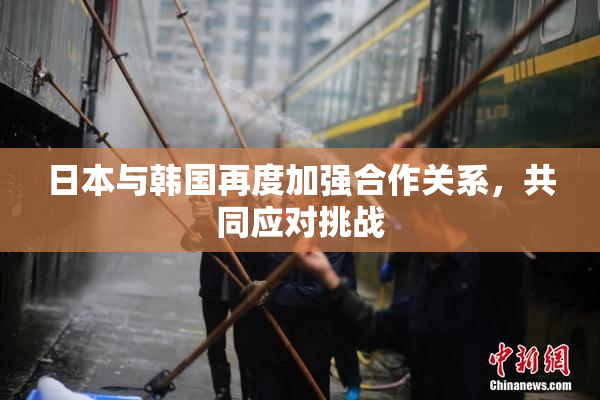 日本与韩国再度加强合作关系，共同应对挑战