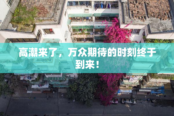 高潮来了，万众期待的时刻终于到来！