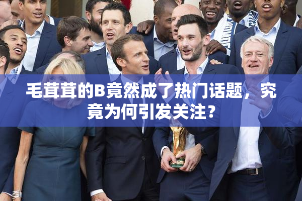 毛茸茸的B竟然成了热门话题，究竟为何引发关注？