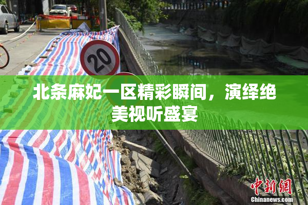 北条麻妃一区精彩瞬间，演绎绝美视听盛宴