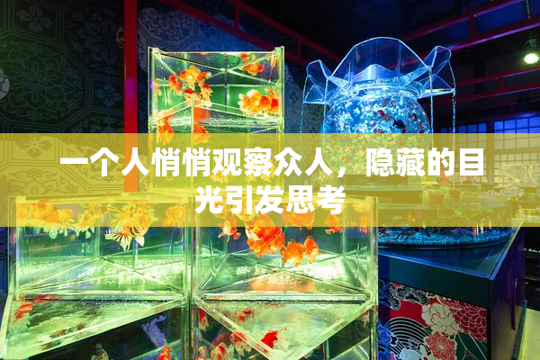 一个人悄悄观察众人，隐藏的目光引发思考