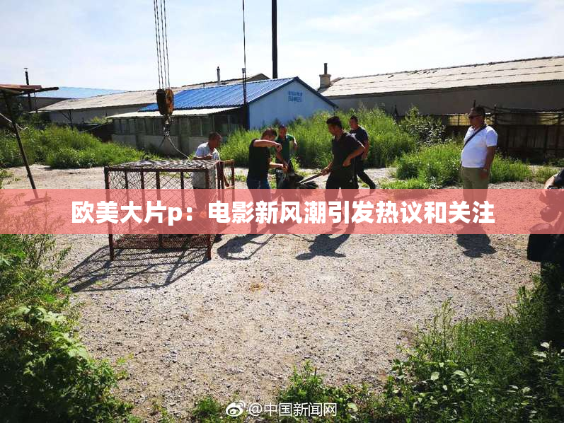 欧美大片p：电影新风潮引发热议和关注