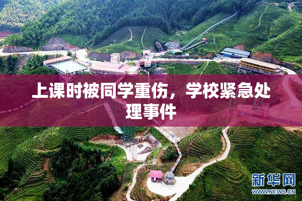 上课时被同学重伤，学校紧急处理事件