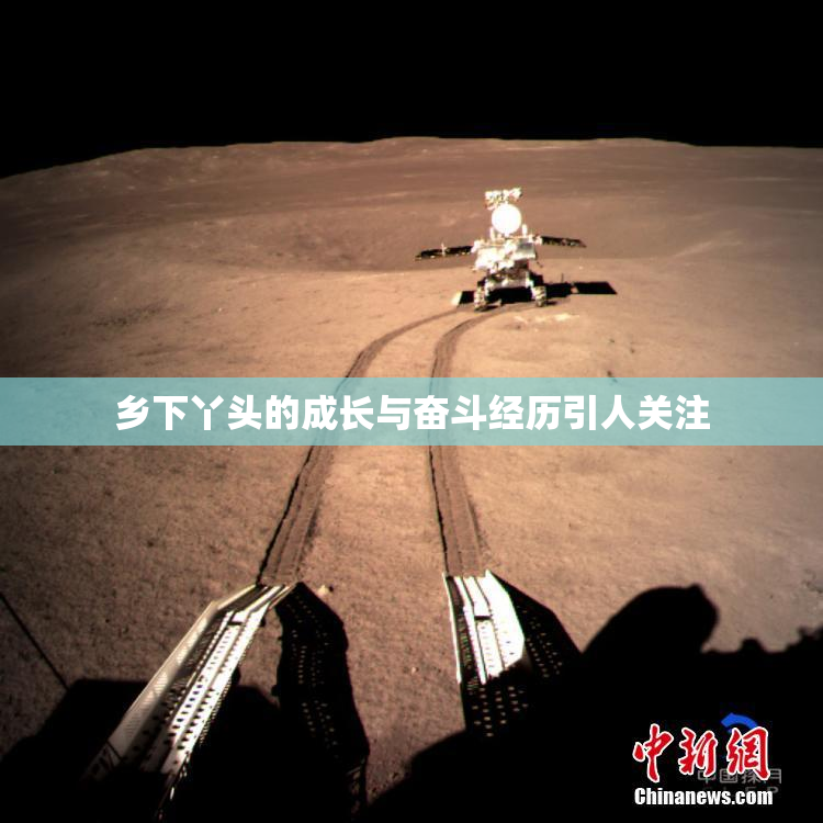 乡下丫头的成长与奋斗经历引人关注